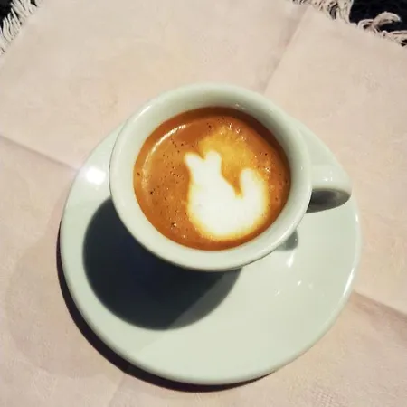 Ξενοδοχείο Gabbiano Ριτσιόνε