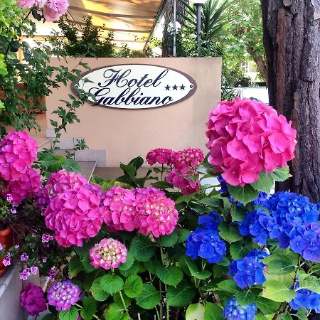 Gabbiano 3* Ριτσιόνε