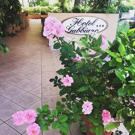 Gabbiano 3* Riccione