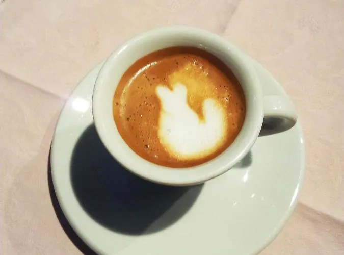 מלון Gabbiano ריצ'יונה