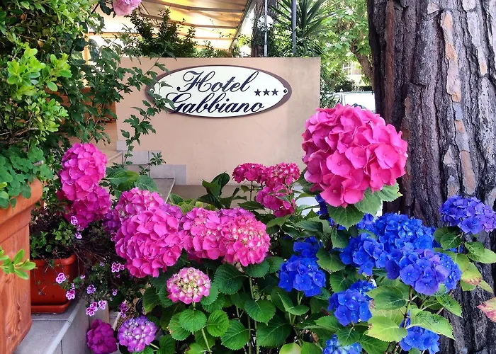 Gabbiano 3* 리치오네