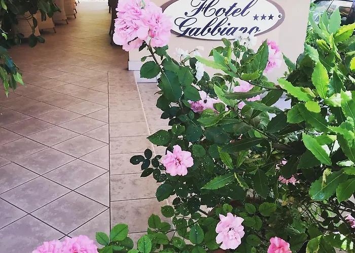 Gabbiano 3* 리치오네